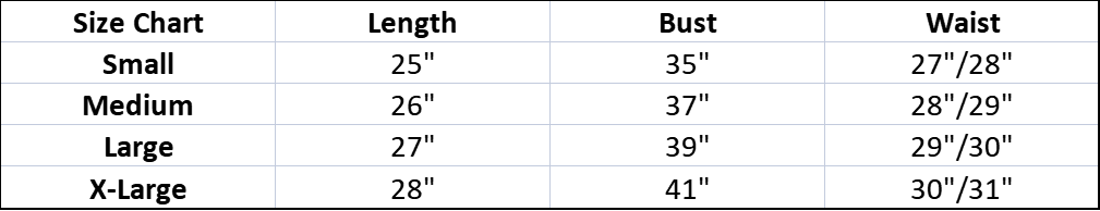 Allure Nurse Fantasy Costume